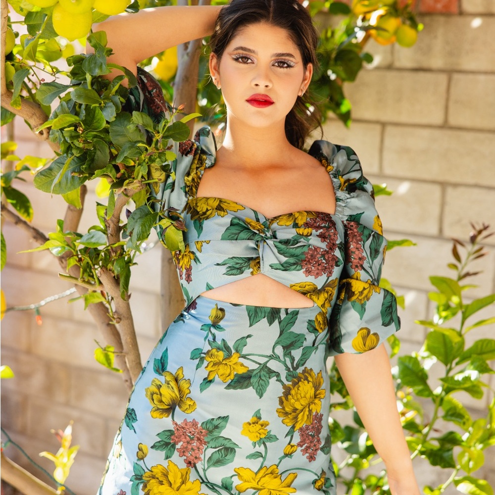 ASOS salon blue floral puff sleeve mini dress with cut-out Sz 4